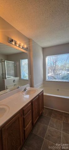 14109 Southbridge Forest Drive, Charlotte, NC 28273