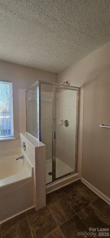 14109 Southbridge Forest Drive, Charlotte, NC 28273