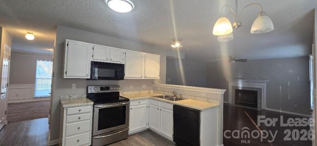 14109 Southbridge Forest Drive, Charlotte, NC 28273