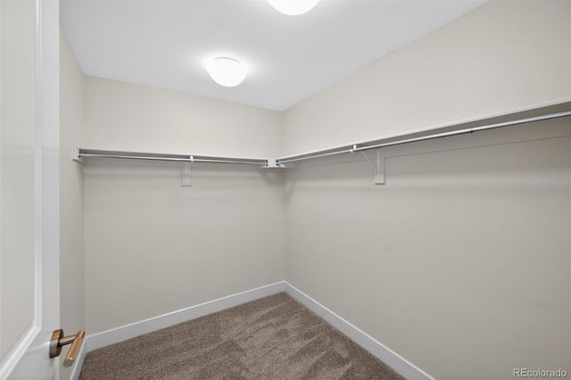 7220 W Bonfils Lane 302, Lakewood, CO 80226