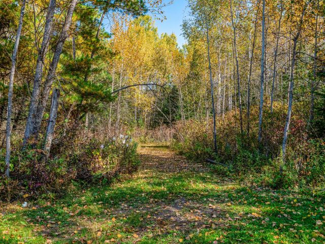 25629 Smokey Hollow Drive, Helga Twp, MN 56461