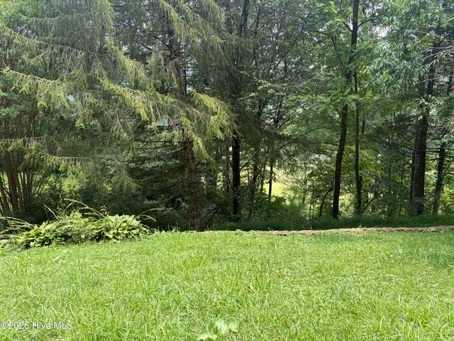 913 Franks Creek Road, Robbinsville, NC 28771