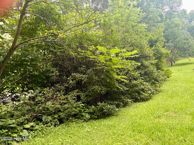 913 Franks Creek Road, Robbinsville, NC 28771