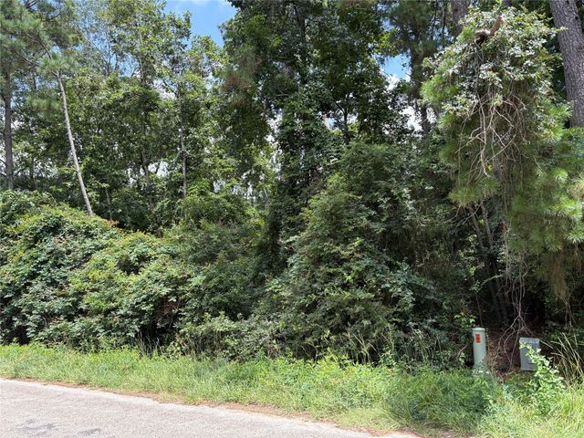 17333 Shadow Lane, Conroe, TX 77306