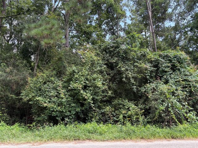 17333 Shadow Lane, Conroe, TX 77306
