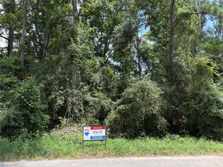 17333 Shadow Lane, Conroe, TX 77306