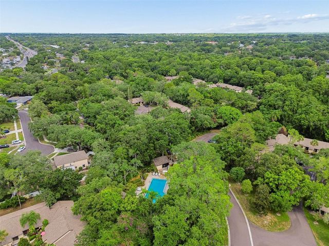 2903 FIG COURT, Palm Harbor, FL 34684