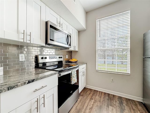 9068 LAKE CHASE ISLAND WAY 9068, Tampa, FL 33626