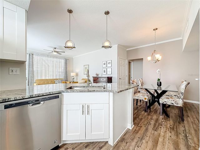 9068 LAKE CHASE ISLAND WAY 9068, Tampa, FL 33626