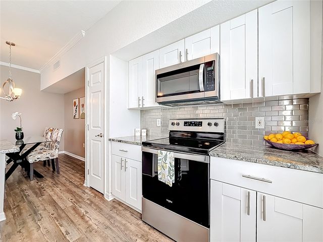 9068 LAKE CHASE ISLAND WAY 9068, Tampa, FL 33626