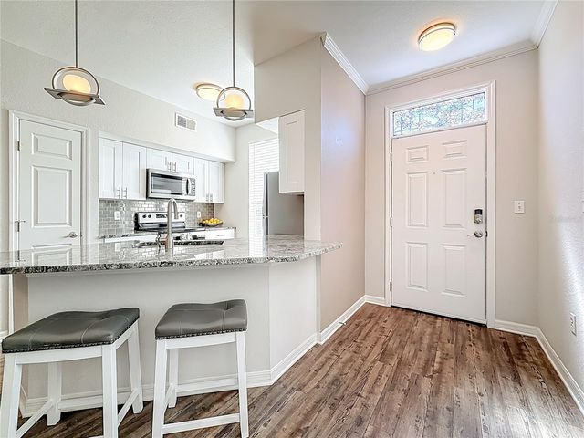 9068 LAKE CHASE ISLAND WAY 9068, Tampa, FL 33626