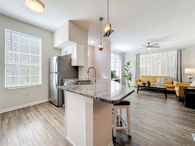 9068 LAKE CHASE ISLAND WAY 9068, Tampa, FL 33626