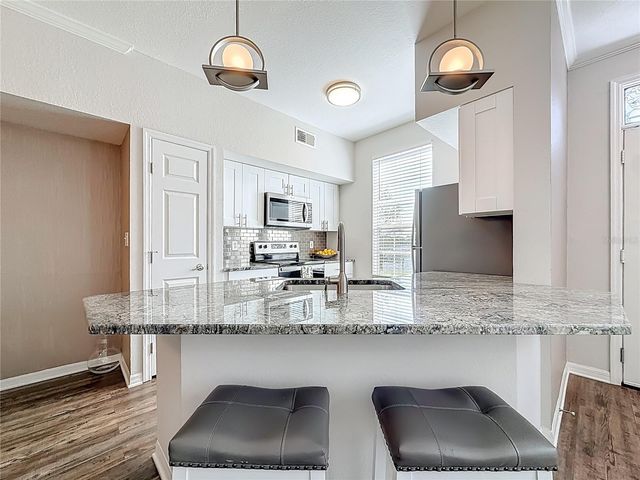 9068 LAKE CHASE ISLAND WAY 9068, Tampa, FL 33626