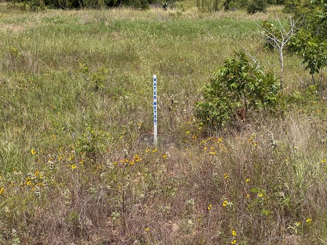 Lot 2 Cottletown RD, Smithville, TX 78957