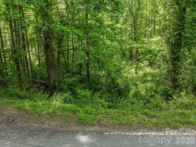 99999 Moody Cove Road 1, Weaverville, NC 28787