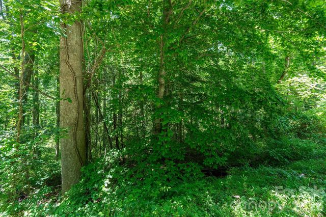 99999 Moody Cove Road 1, Weaverville, NC 28787