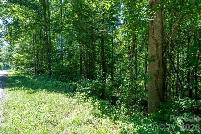 99999 Moody Cove Road 1, Weaverville, NC 28787