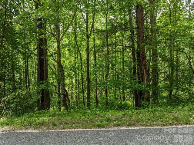 99999 Moody Cove Road 1, Weaverville, NC 28787
