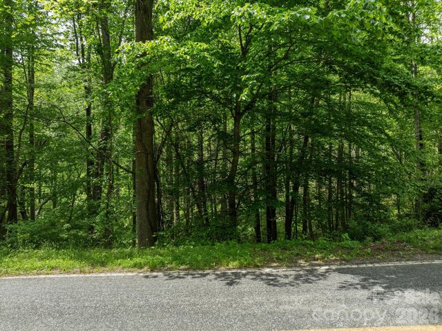 99999 Moody Cove Road 1, Weaverville, NC 28787