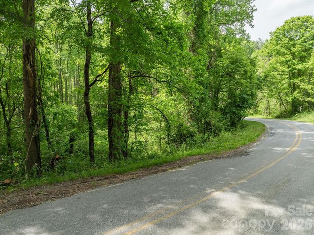 99999 Moody Cove Road 1, Weaverville, NC 28787