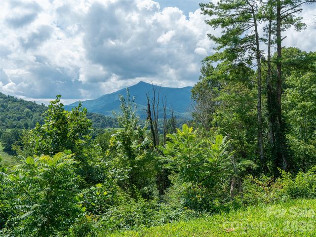000 Locust Rough Mountain Road 5, Burnsville, NC 28714