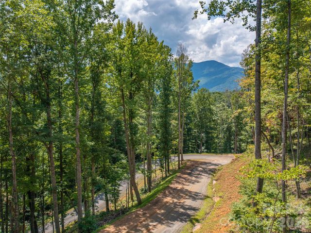 000 Locust Rough Mountain Road 5, Burnsville, NC 28714