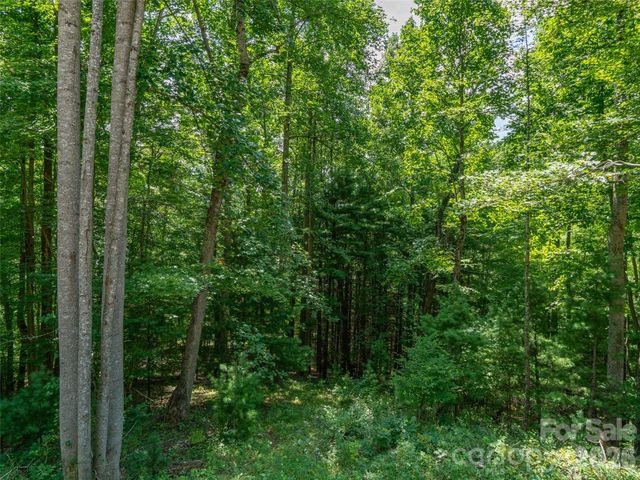 000 Locust Rough Mountain Road 5, Burnsville, NC 28714