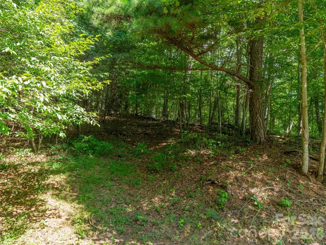 000 Locust Rough Mountain Road 5, Burnsville, NC 28714