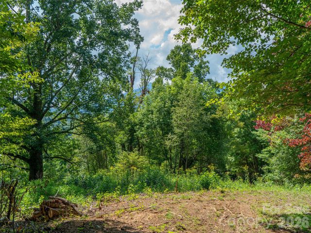 000 Locust Rough Mountain Road 5, Burnsville, NC 28714
