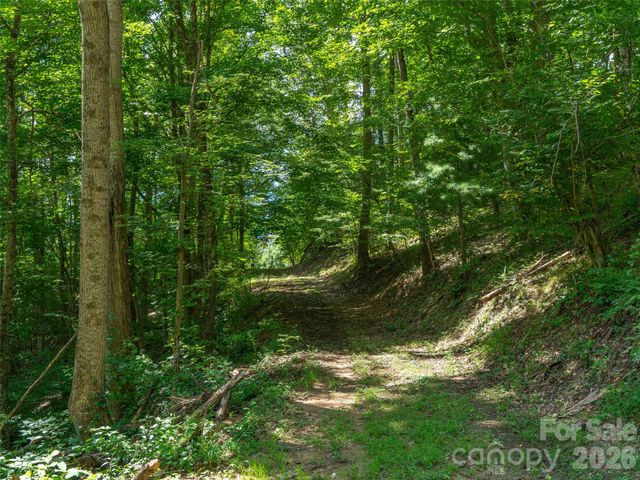 000 Locust Rough Mountain Road 5, Burnsville, NC 28714
