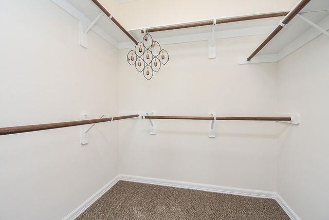 71 Aventura Place, The Woodlands, TX 77389