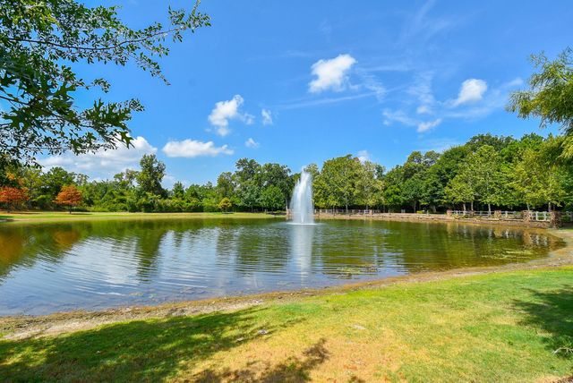 71 Aventura Place, The Woodlands, TX 77389