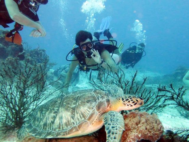 6528 W Co Highway 30A, Santa Rosa Beach, FL 32459