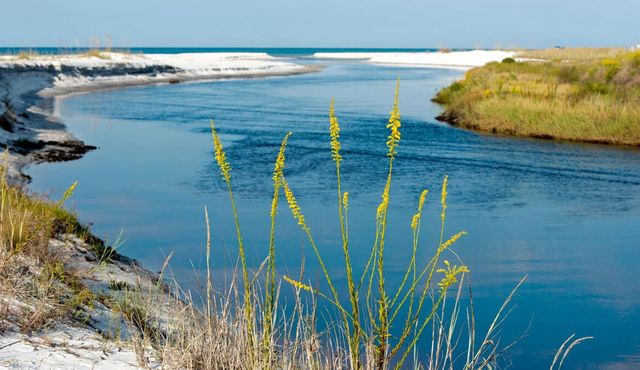 6528 W Co Highway 30A, Santa Rosa Beach, FL 32459