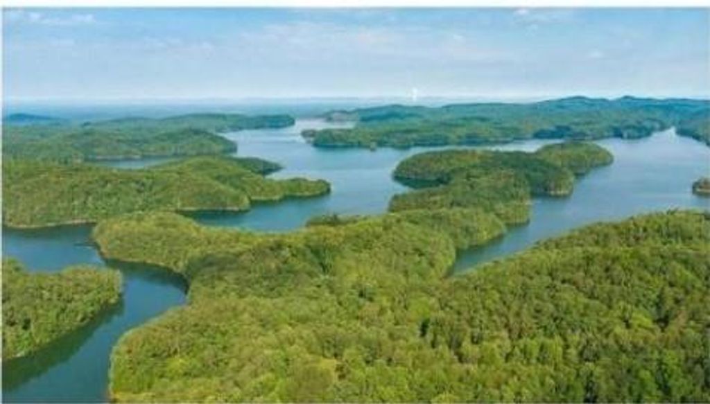 0 Carter View Drive, Ellijay, GA 30540