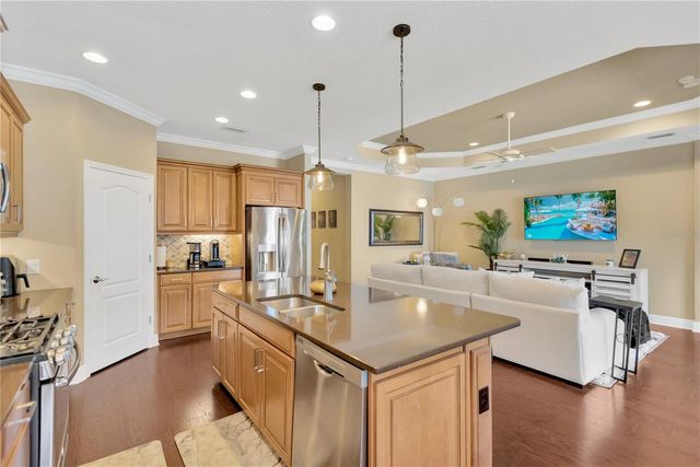 6420 SEASOUND DRIVE, Apollo Beach, FL 33572