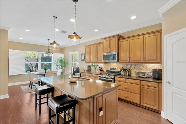 6420 SEASOUND DRIVE, Apollo Beach, FL 33572