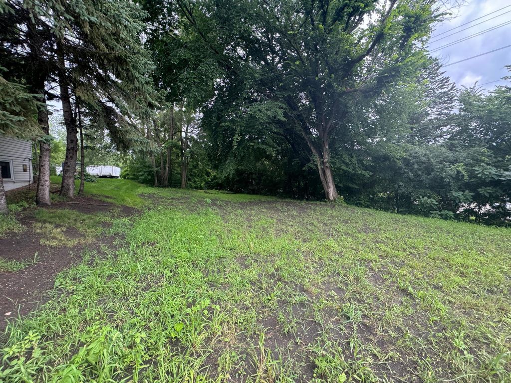 409 S Orange Street, Waconia, MN 55387 — photo 3