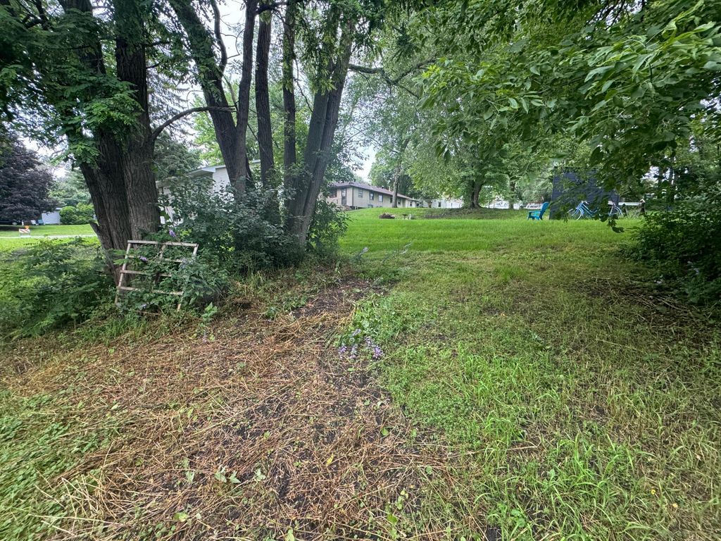 409 S Orange Street, Waconia, MN 55387 — photo 5