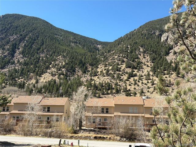 1772 Clear Creek Drive, Georgetown, CO 80444