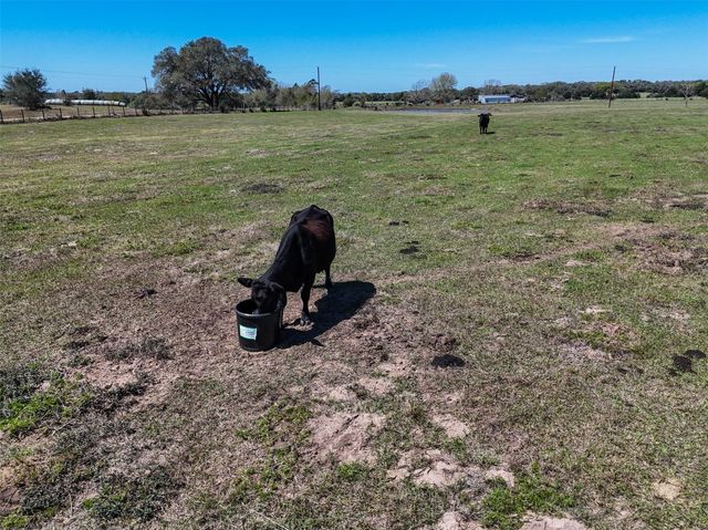 Tr. 2 Reitz Quinn Road, Cat Spring, TX 78933