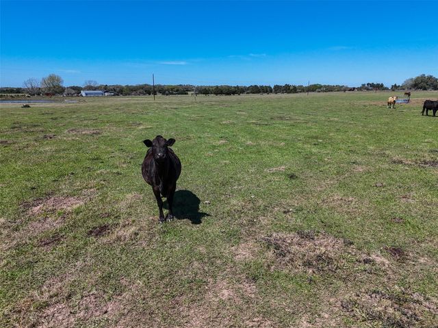 Tr. 2 Reitz Quinn Road, Cat Spring, TX 78933