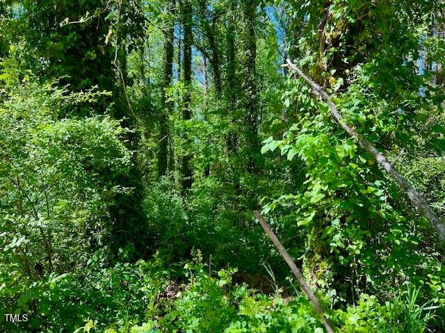 00 Young Avenue, Henderson, NC 27536