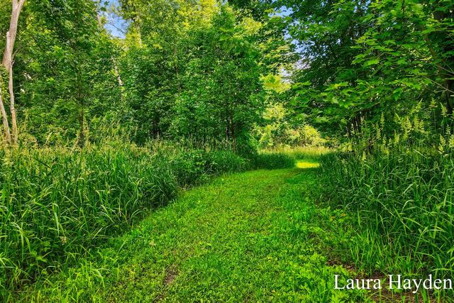 1367 E Riverside Drive, Ionia, MI 48846