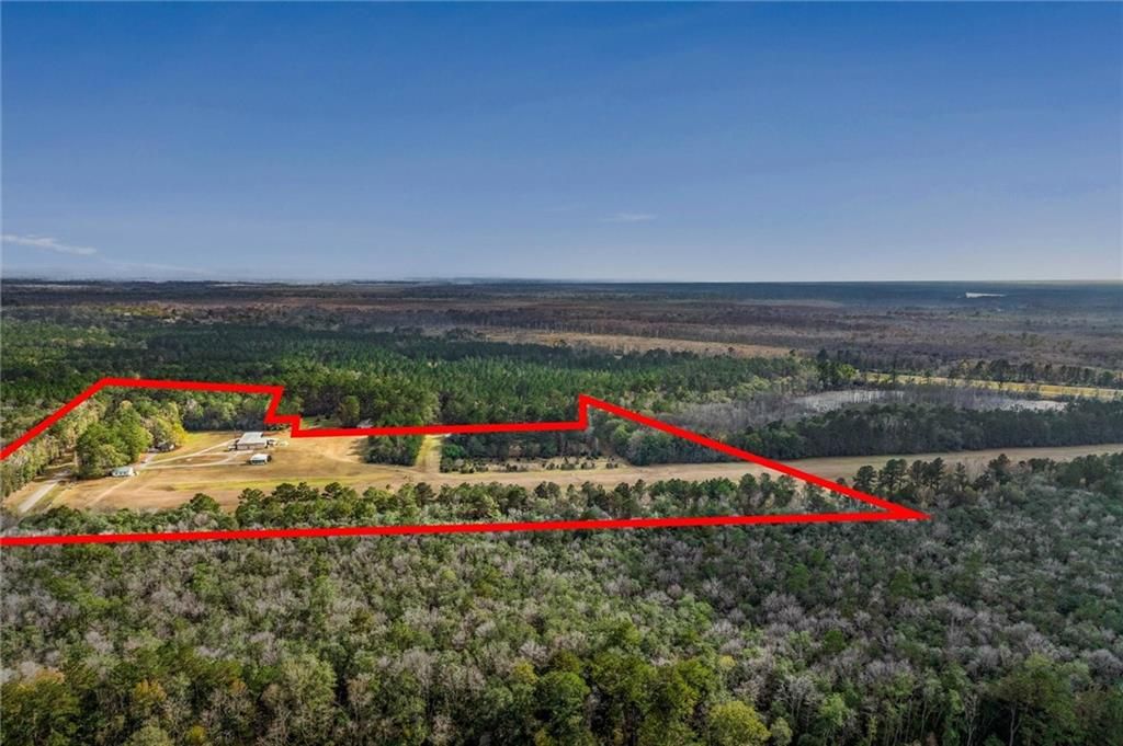 1931 Dead Lake Marina Road, Creola, AL 36525 — photo 5