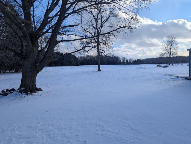 10101 Carpenter Road, Flushing Twp, MI 48433