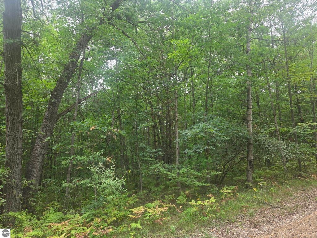 Image 1 of property listing at 7873 Wild Oaks Drive, Weidman, MI 48893