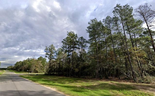 15712 Republic Ranch Road N, Willis, TX 77378