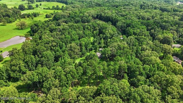 2141 Mcfarland Road, Raymond, MS 39154