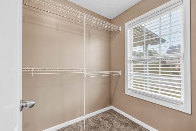 2856 Sharpie Dr, Clarksville, TN 37040